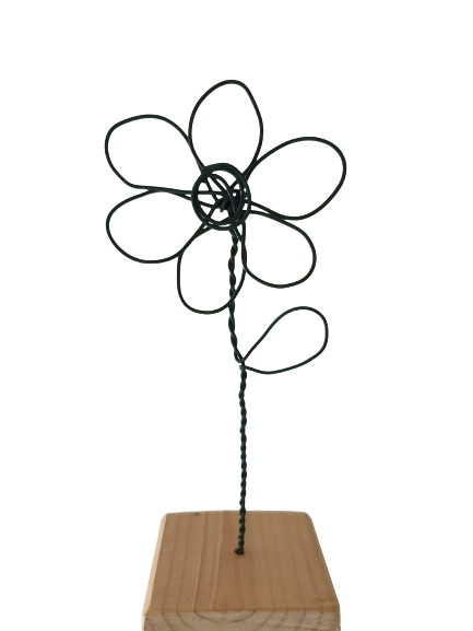 20230728_142507-removebg-preview